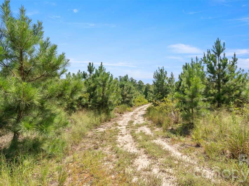 318 McFarlan Road, Morven, NC 28119.  MLS# CAR4427388, YatesRealty ID 53142. 