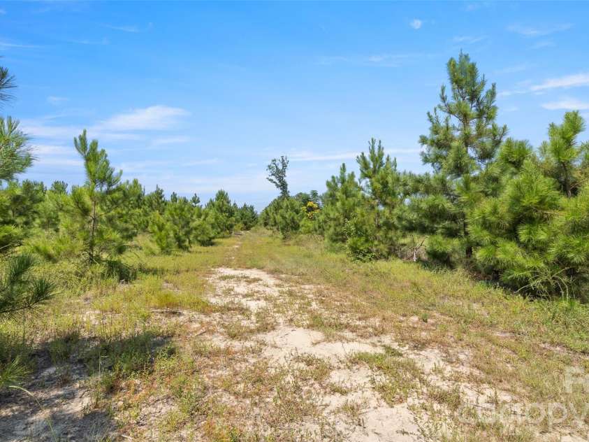 318 McFarlan Road, Morven, NC 28119.  MLS# CAR4427388, YatesRealty ID 53142. 