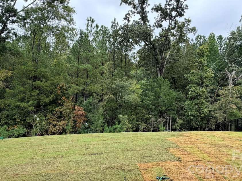 742 Clovis Street, Rock Hill, SC 29730.  MLS# CAR4415795, YatesRealty ID 53181. Backyard