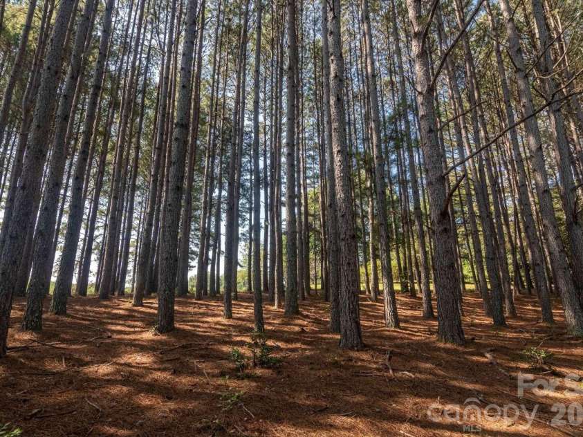 500 Turner Road, Rutherfordton, NC 28139.  MLS# CAR4428670, YatesRealty ID 53187. 