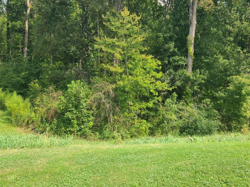 121 Olive Tea Lane, Statesville, NC 28625.  MLS# CAR4427225, YatesRealty ID 53254. View from back patio