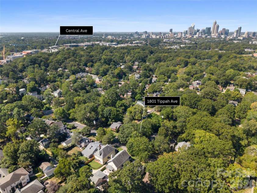 1801 Tippah Avenue, Charlotte, NC 28205.  MLS# CAR4426680, YatesRealty ID 53277. 