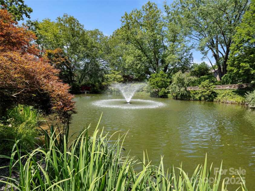 15 Ridge Terrace, Asheville, NC 28804.  MLS# CAR4245489, YatesRealty ID 5331. Community pond