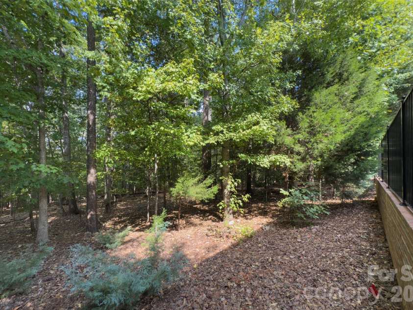 2561 Lower Assembly Drive, Fort Mill, SC 29708.  MLS# CAR4423354, YatesRealty ID 53337. No backyard neighbor