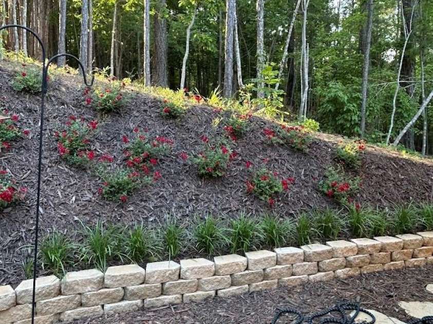 203 Burnt Chimney Lane, Rutherfordton, NC 28139.  MLS# CAR4351732, YatesRealty ID 5344. Drift roses