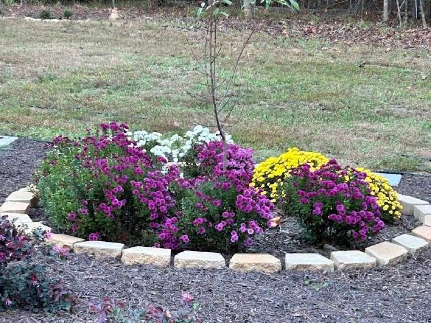 203 Burnt Chimney Lane, Rutherfordton, NC 28139.  MLS# CAR4351732, YatesRealty ID 5344. Mums & Peach tree