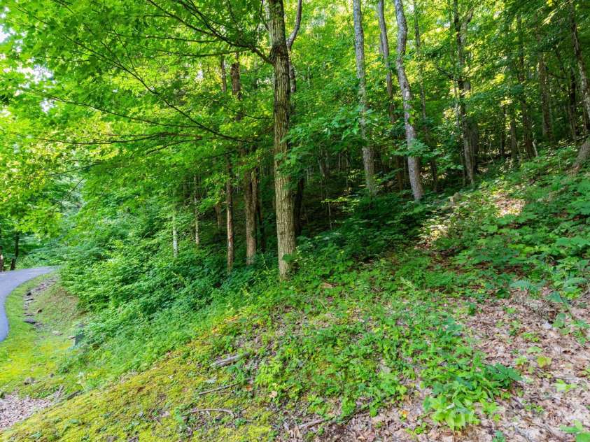 30 Finlaystone Trace, Waynesville, NC 28786.  MLS# CAR4425626, YatesRealty ID 53671. Lot 30.
