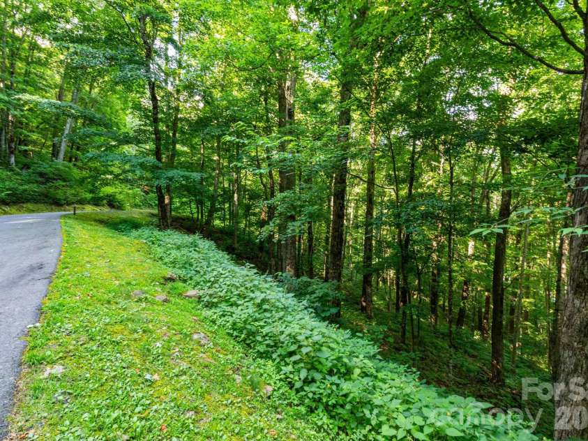 25 Finlaystone Trace, Waynesville, NC 28786.  MLS# CAR4425631, YatesRealty ID 53676. Lot 25.
