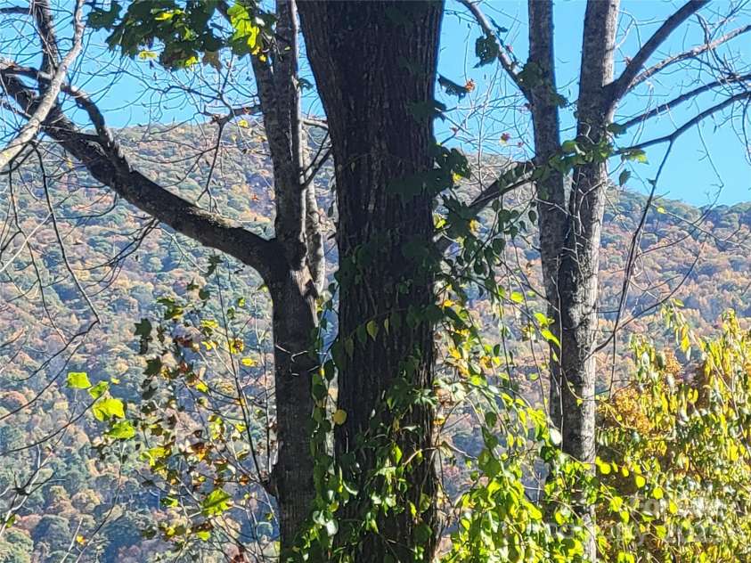 144 Ruffed Grouse Lane, Waynesville, NC 28786.  MLS# CAR4042474, YatesRealty ID 537. 