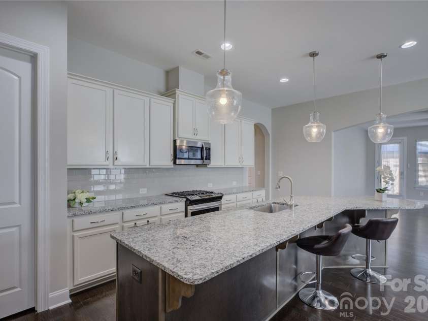 10025 St Kitts Landing Lane, Charlotte, NC 28278.  MLS# CAR4426225, YatesRealty ID 53722. 