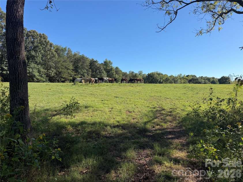 1352 Williamson Road, Shelby, NC 28150.  MLS# CAR4429882, YatesRealty ID 53734. 