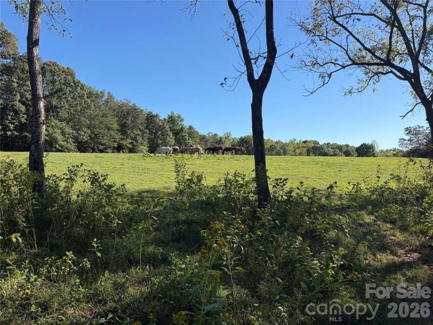 1352 Williamson Road, Shelby, NC 28150.  MLS# CAR4429882, YatesRealty ID 53734. 