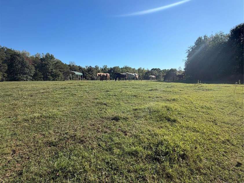 1352 Williamson Road, Shelby, NC 28150.  MLS# CAR4429882, YatesRealty ID 53734. 