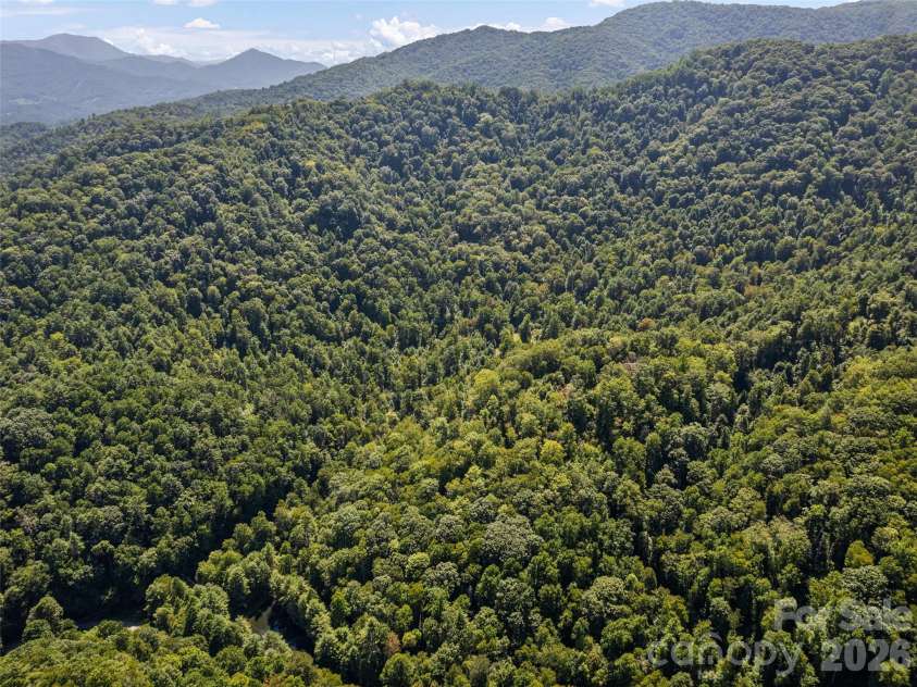 10435 White Oak Road, Waynesville, NC 28785.  MLS# CAR4429954, YatesRealty ID 53804. 