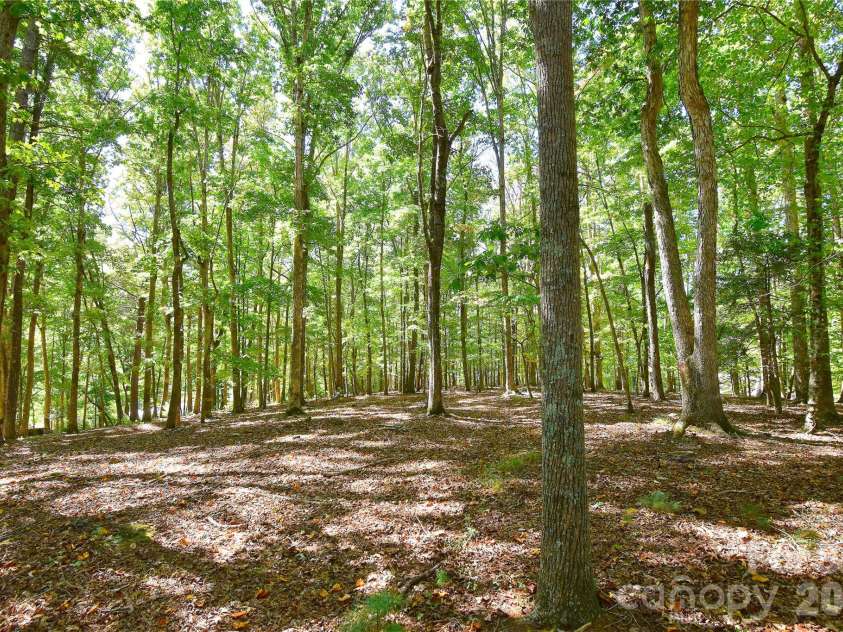 39 Maynard Road, Candler, NC 28715.  MLS# CAR4428324, YatesRealty ID 53829. 