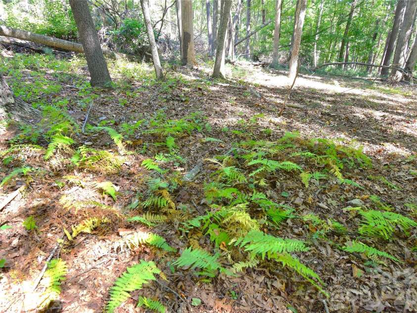 39 Maynard Road, Candler, NC 28715.  MLS# CAR4428324, YatesRealty ID 53829. 
