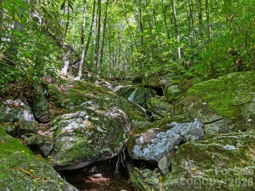 2554 Winter Star Road, Burnsville, NC 28714.  MLS# CAR4430056, YatesRealty ID 53841. 