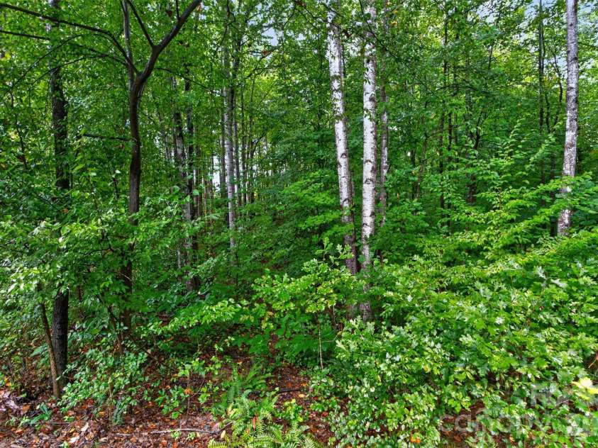 6601 Harbor Oaks Drive, Denver, NC 28037.  MLS# CAR4426714, YatesRealty ID 53974. 