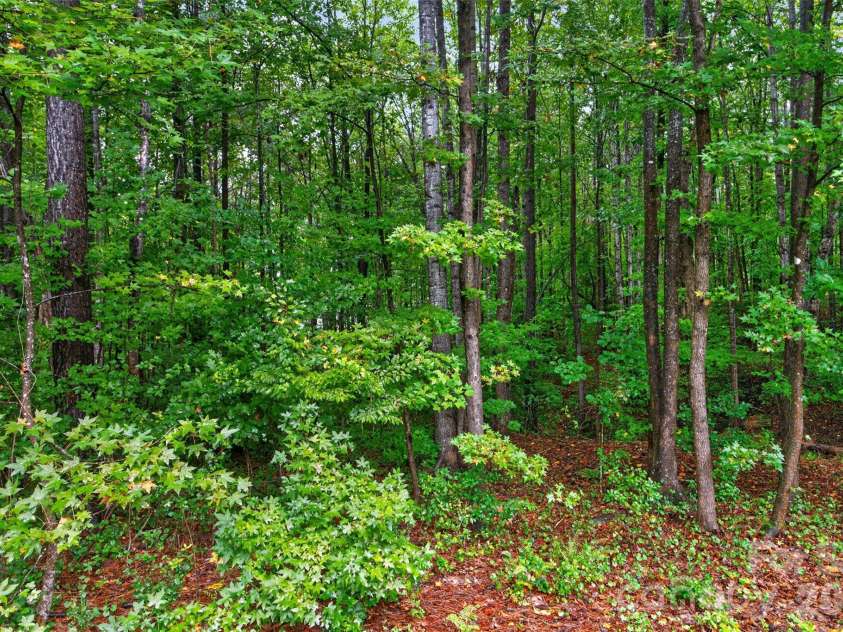 6601 Harbor Oaks Drive, Denver, NC 28037.  MLS# CAR4426714, YatesRealty ID 53974. 