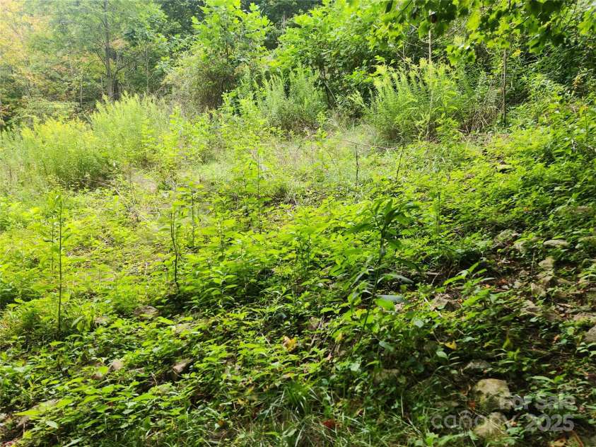 1925 Fork Road, Marshall, NC 28753.  MLS# CAR4298789, YatesRealty ID 54. 