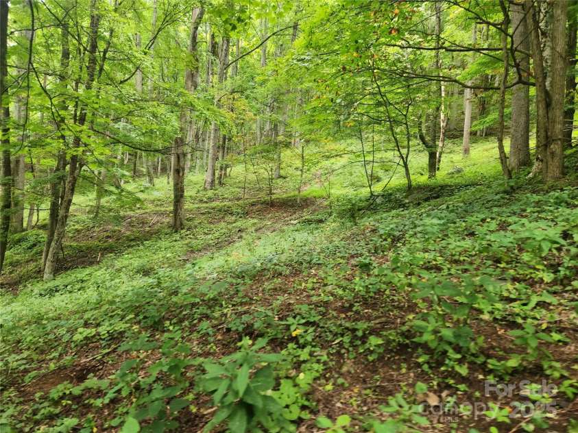 1925 Fork Road, Marshall, NC 28753.  MLS# CAR4298789, YatesRealty ID 54. 