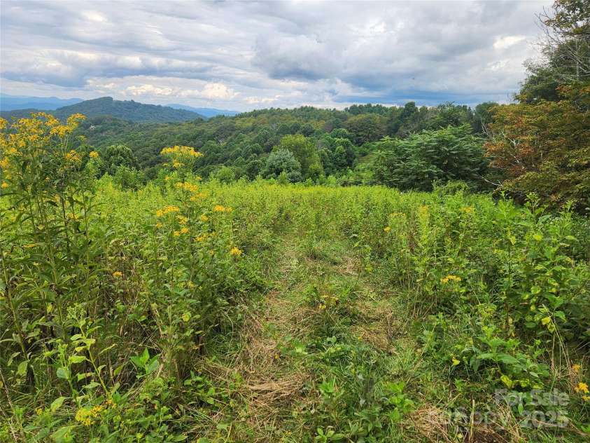 1925 Fork Road, Marshall, NC 28753.  MLS# CAR4298789, YatesRealty ID 54. 