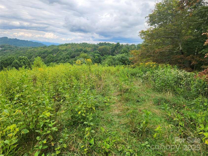 1925 Fork Road, Marshall, NC 28753.  MLS# CAR4298789, YatesRealty ID 54. 