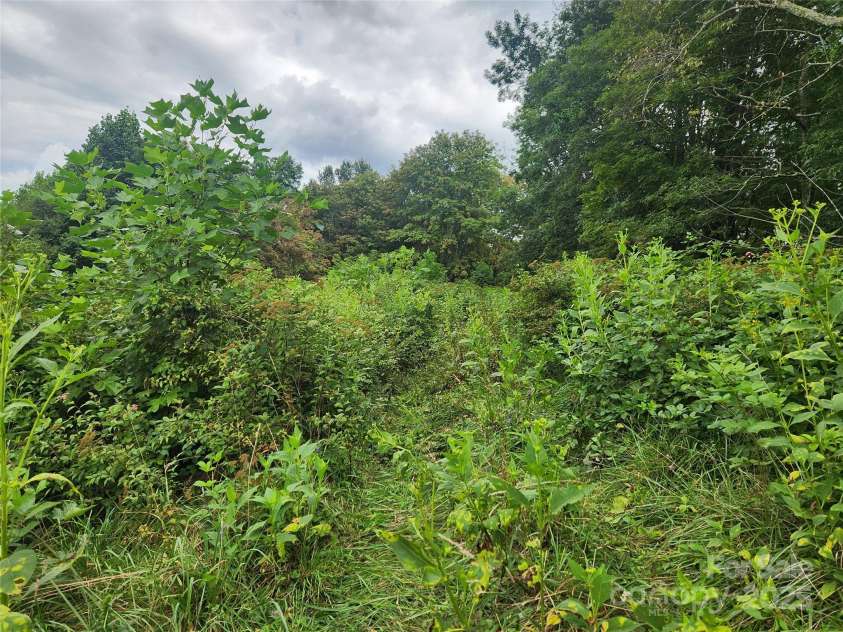 1925 Fork Road, Marshall, NC 28753.  MLS# CAR4298789, YatesRealty ID 54. 