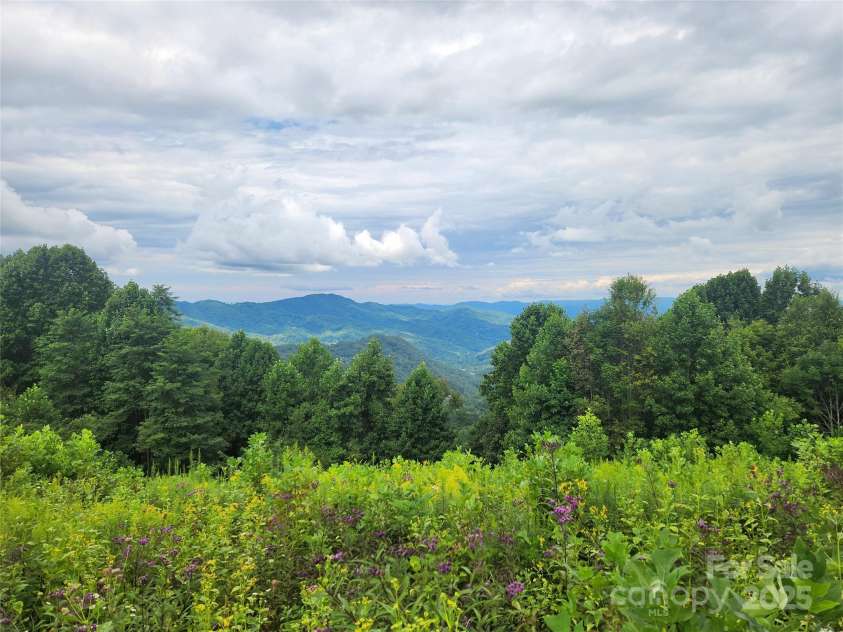 1925 Fork Road, Marshall, NC 28753.  MLS# CAR4298789, YatesRealty ID 54. 