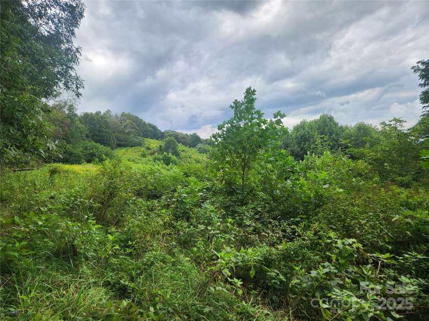 1925 Fork Road, Marshall, NC 28753.  MLS# CAR4298789, YatesRealty ID 54. 