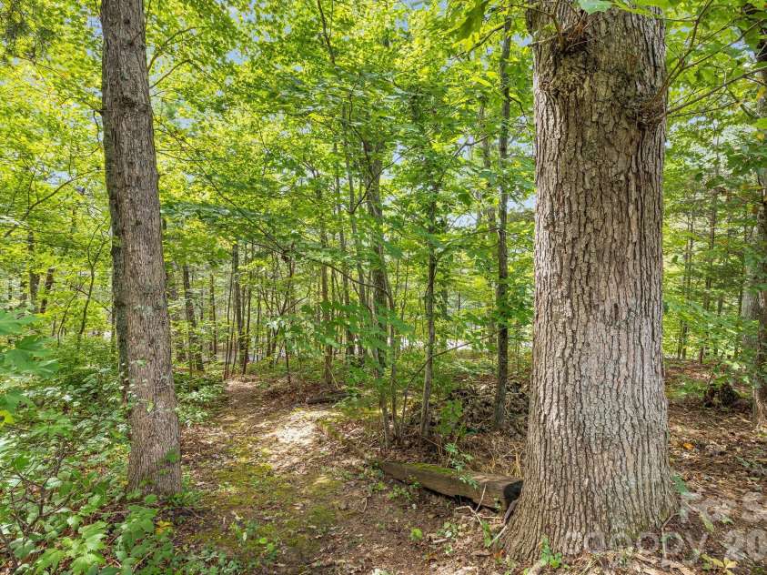 75 Cliffview Drive, Asheville, NC 28803.  MLS# CAR4428267, YatesRealty ID 54117. 
