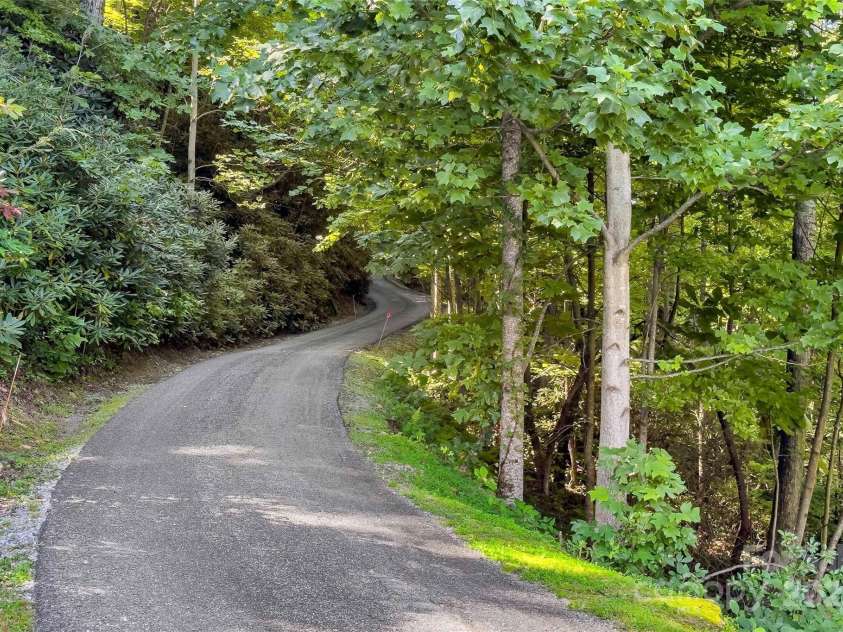 46 Spring Forest Drive, Old Fort, NC 28762.  MLS# CAR4239200, YatesRealty ID 5414. Pretty driveway to the home