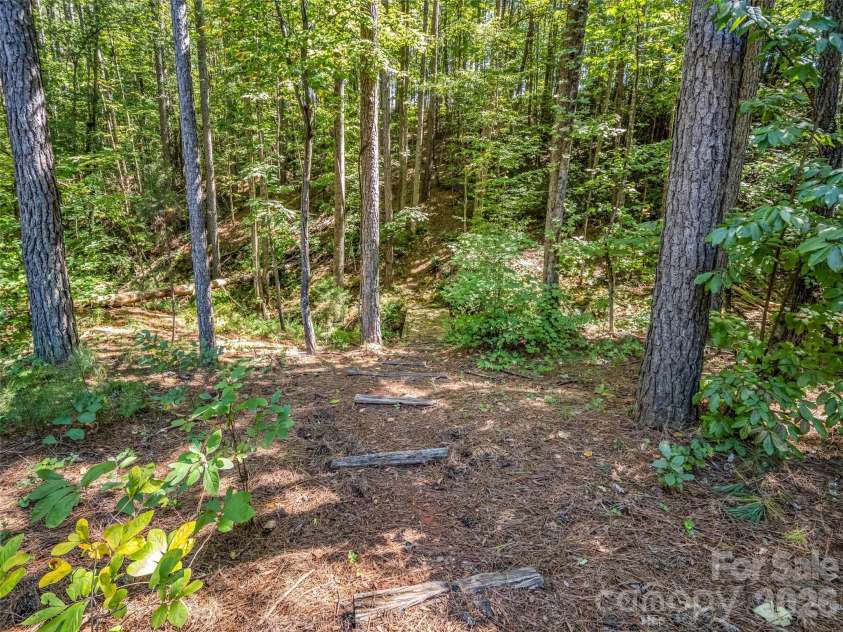 168 Chasewood Drive, Rutherfordton, NC 28139.  MLS# CAR4430016, YatesRealty ID 54149. 