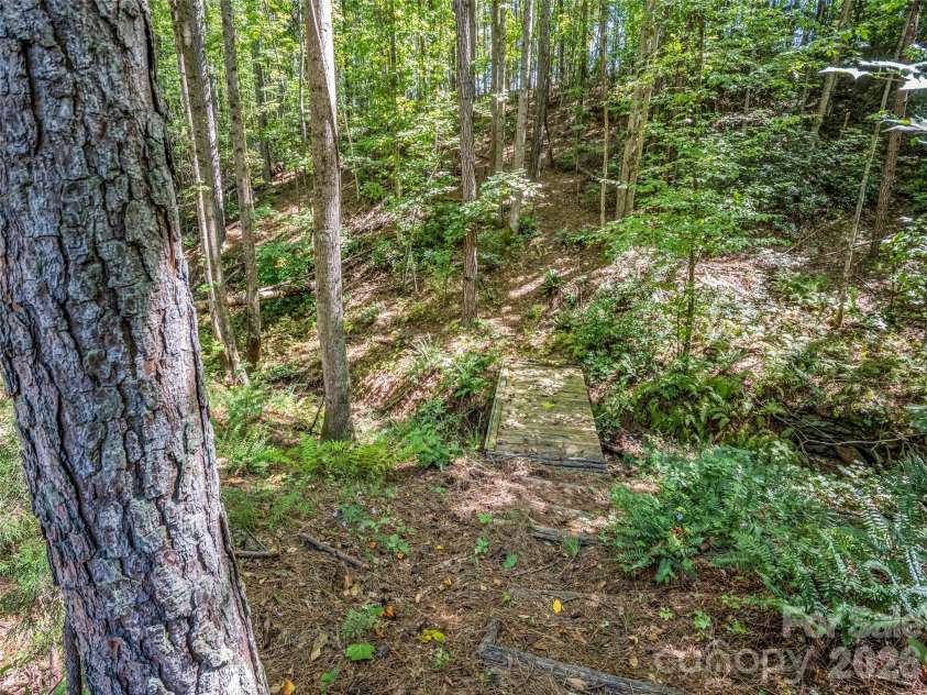 168 Chasewood Drive, Rutherfordton, NC 28139.  MLS# CAR4430016, YatesRealty ID 54149. 