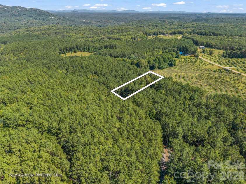 168 Chasewood Drive, Rutherfordton, NC 28139.  MLS# CAR4430016, YatesRealty ID 54149. 