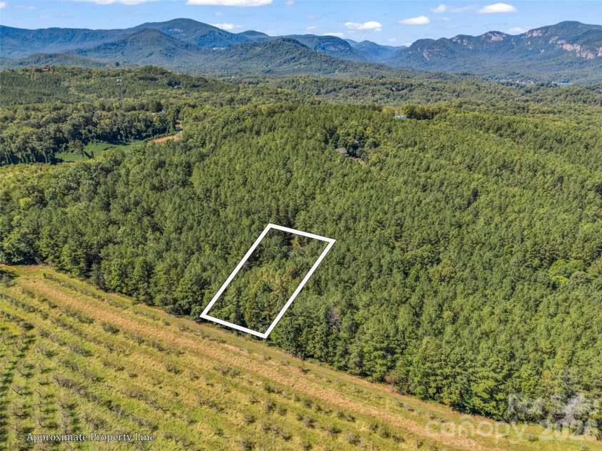 168 Chasewood Drive, Rutherfordton, NC 28139.  MLS# CAR4430016, YatesRealty ID 54149. 