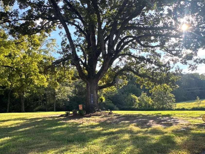 5231 Dusty Lane, Granite Falls, NC 28630.  MLS# CAR4430376, YatesRealty ID 54219. 