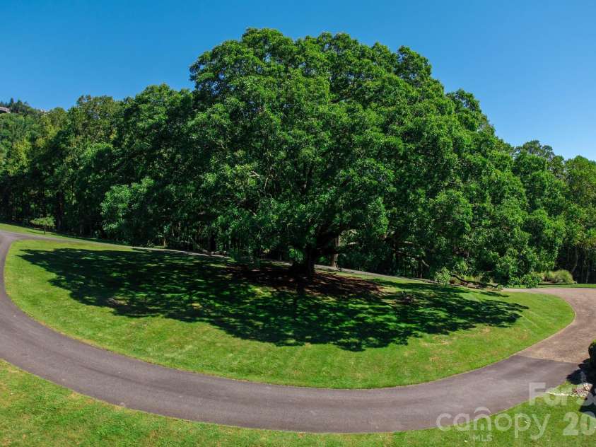 733 Dogwood Lane, Blowing Rock, NC 28605.  MLS# CAR4429155, YatesRealty ID 54463. 
