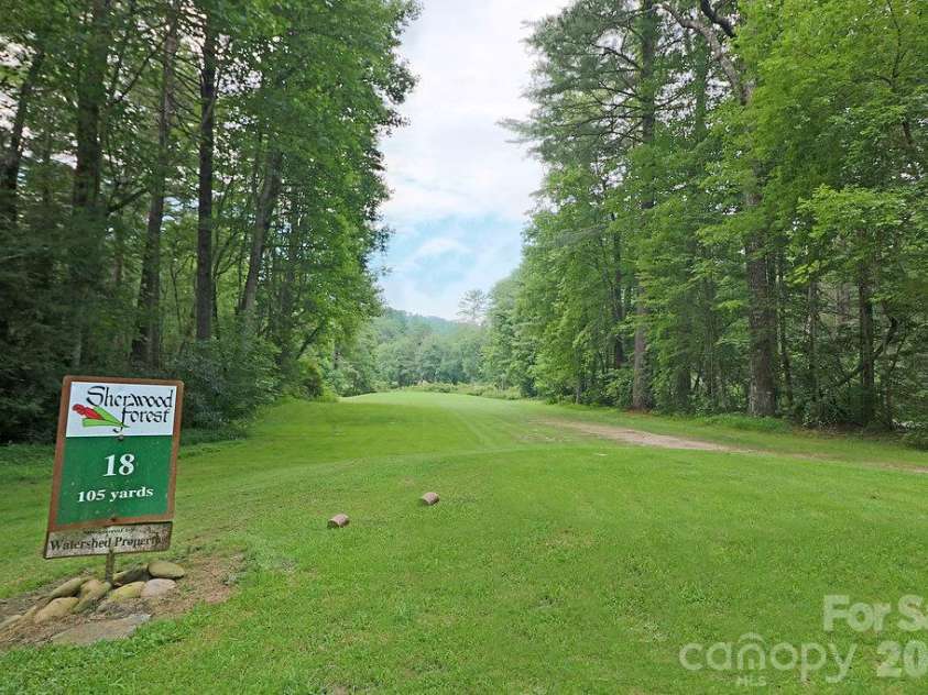 64 Surrey Lane, Brevard, NC 28712.  MLS# CAR4429988, YatesRealty ID 54568. 