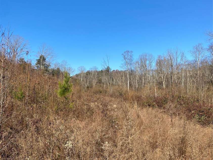 364 Moriah Church Road, Casar, NC 28020.  MLS# CAR4204370, YatesRealty ID 546. 