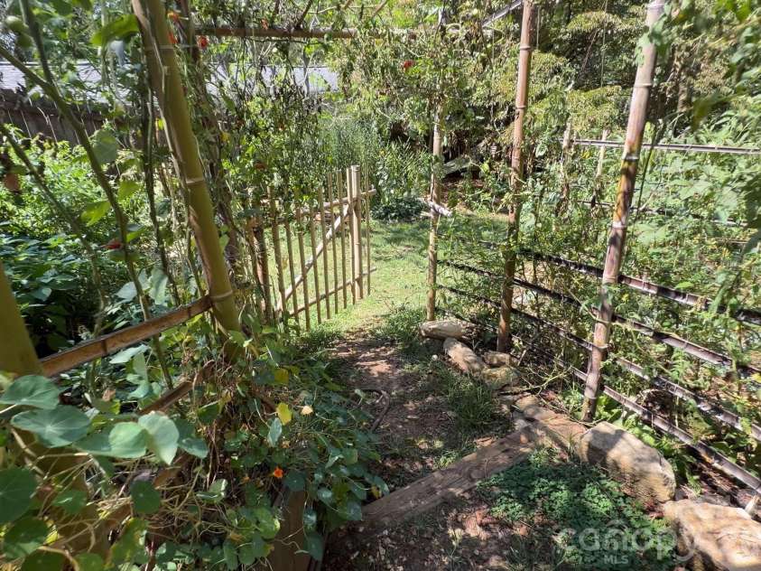 201 Logan Avenue, Asheville, NC 28806.  MLS# CAR4426540, YatesRealty ID 54658. Lower Back Yard