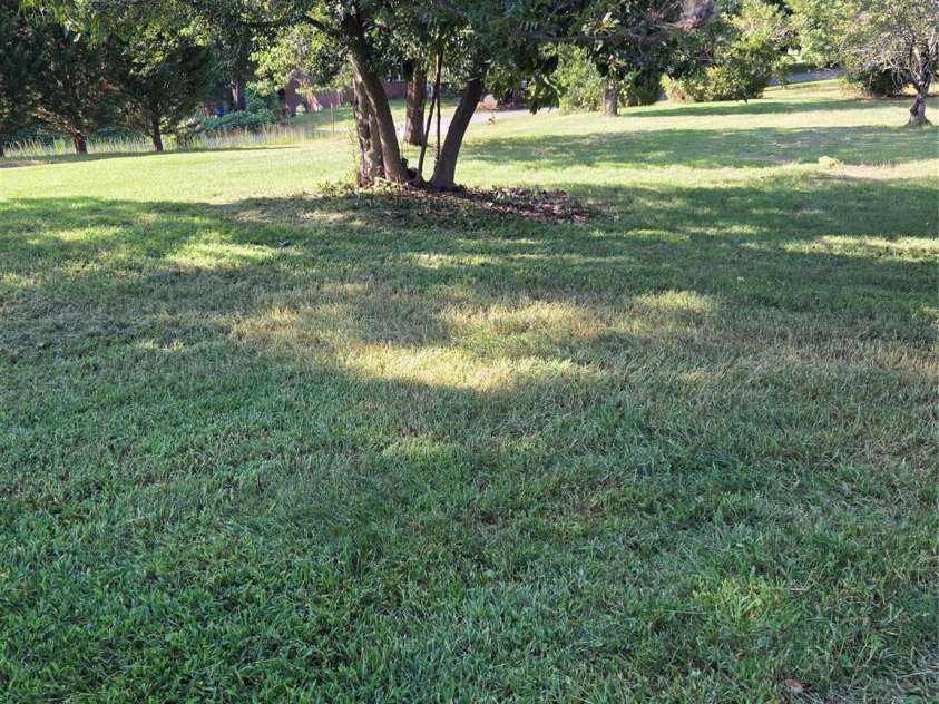 5 Ferguson Street, Granite Falls, NC 28630.  MLS# CAR4401624, YatesRealty ID 54787. 
