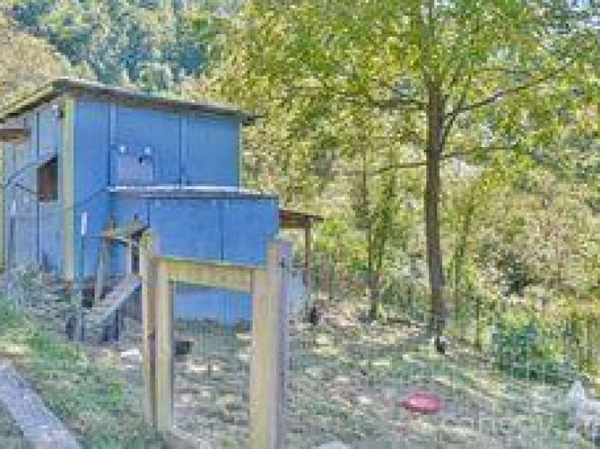 456 Morgan Branch Road, Marshall, NC 28753.  MLS# CAR4431292, YatesRealty ID 54823. 