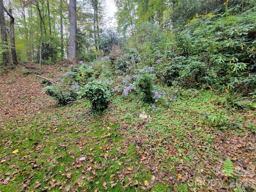 1061 Caldwell Drive, Maggie Valley, NC 28751.  MLS# CAR4429687, YatesRealty ID 54829. 