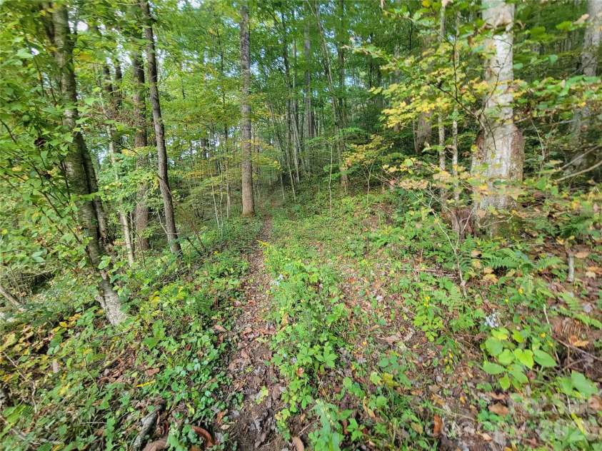 1061 Caldwell Drive, Maggie Valley, NC 28751.  MLS# CAR4429687, YatesRealty ID 54829. 