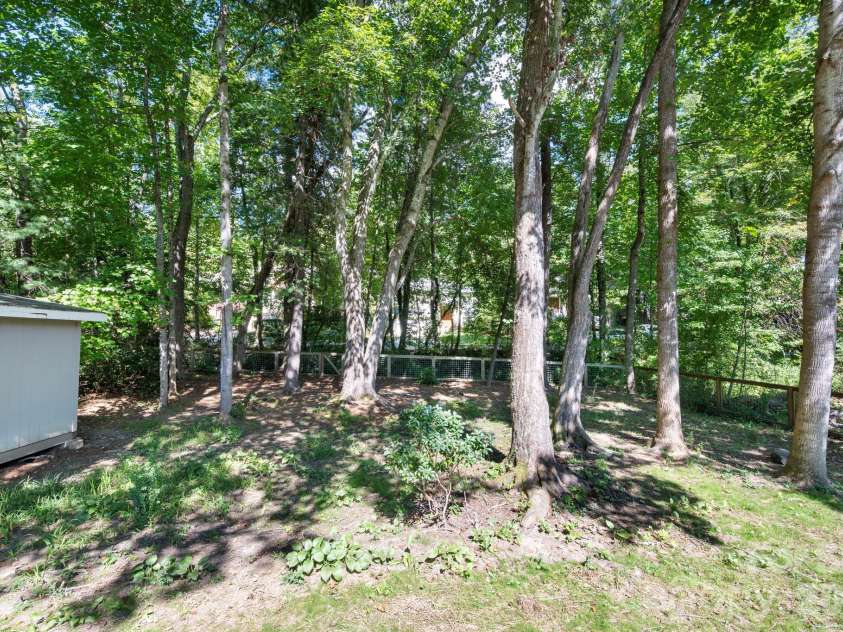 340 Genesis Circle, Black Mountain, NC 28711.  MLS# CAR4429667, YatesRealty ID 54851. Mature Trees