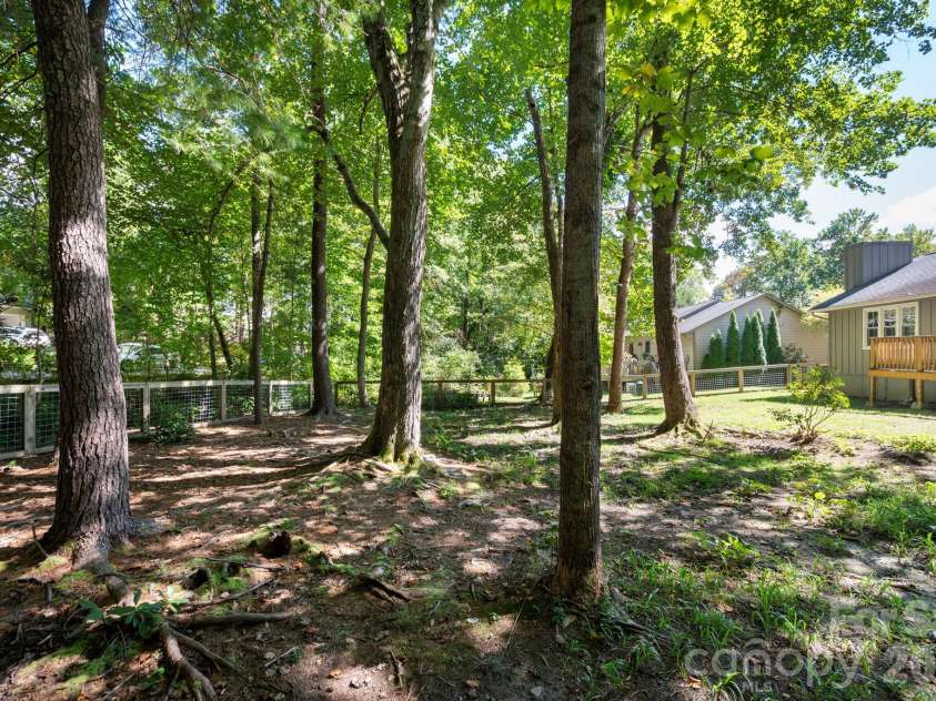 340 Genesis Circle, Black Mountain, NC 28711.  MLS# CAR4429667, YatesRealty ID 54851. Shaded Area of Yard