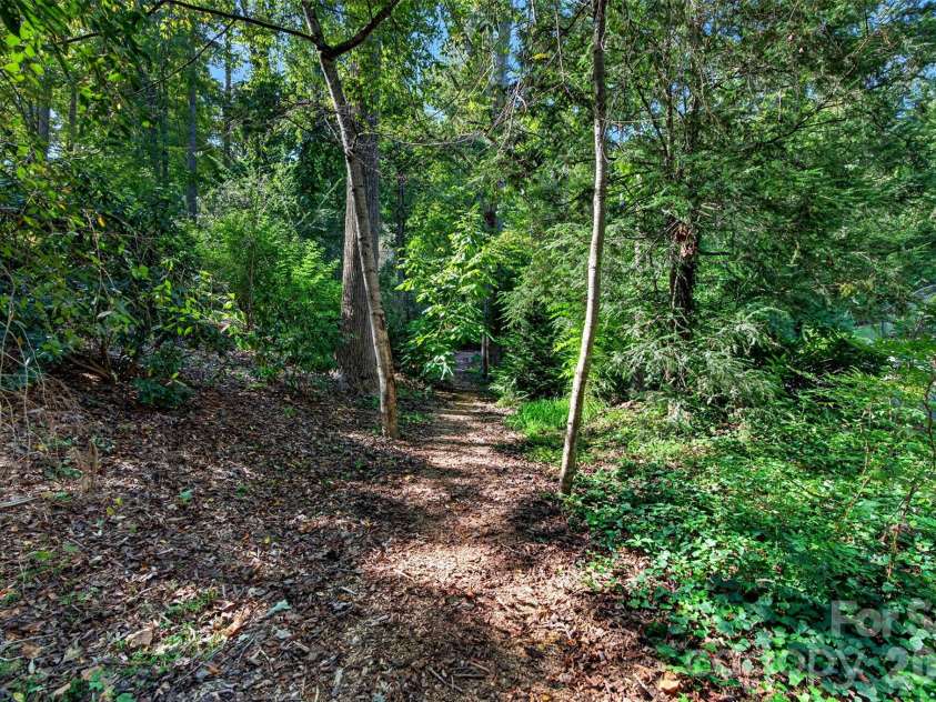 14 Willow Road, Asheville, NC 28804.  MLS# CAR4429269, YatesRealty ID 54853. UNCA Chestnut Ridge trail