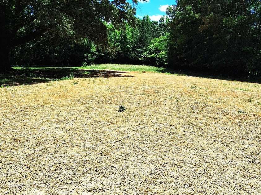 3114 Ansonville Road, Marshville, NC 28103.  MLS# CAR4431588, YatesRealty ID 54872. 