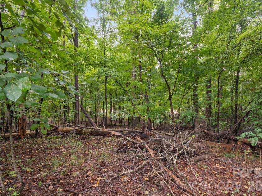 6958 NC Hwy 9 Highway, Columbus, NC 28722.  MLS# CAR4429914, YatesRealty ID 54884. 